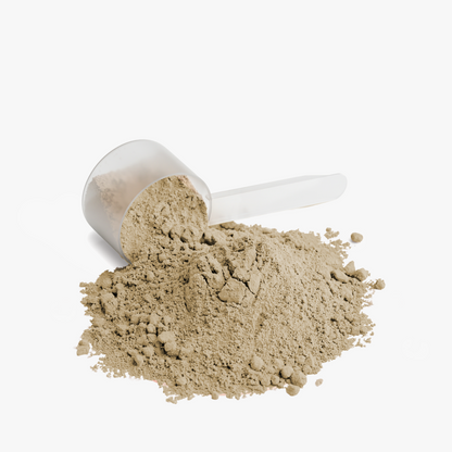 PLANT PROTEIN
